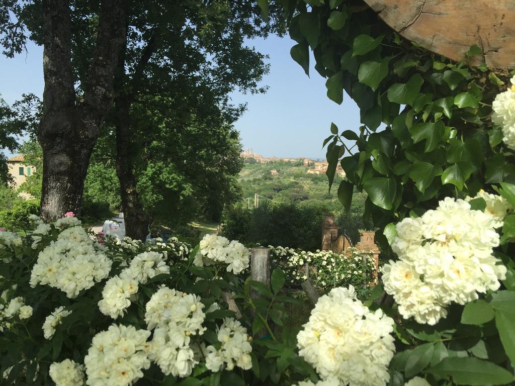 Podere Sant'Elena San Gimignano Exterior foto