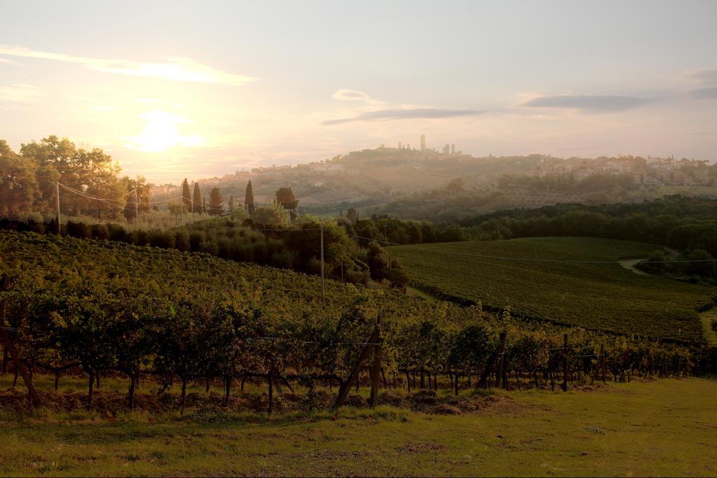 Podere Sant'Elena San Gimignano Exterior foto