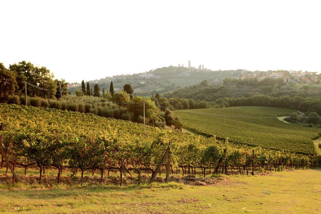 Podere Sant'Elena San Gimignano Exterior foto